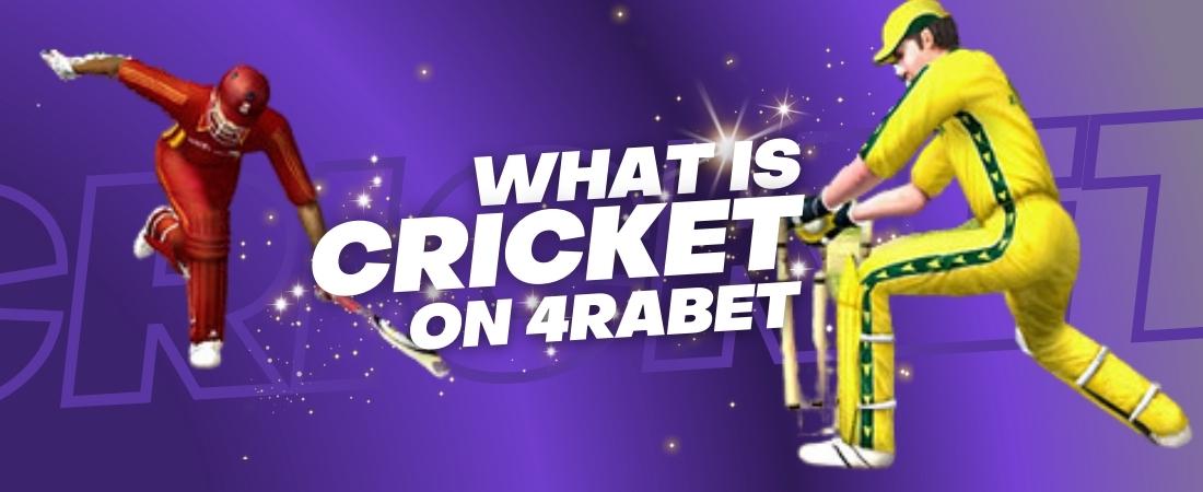 What is cricket on 4rabet Indian bookmaker site?